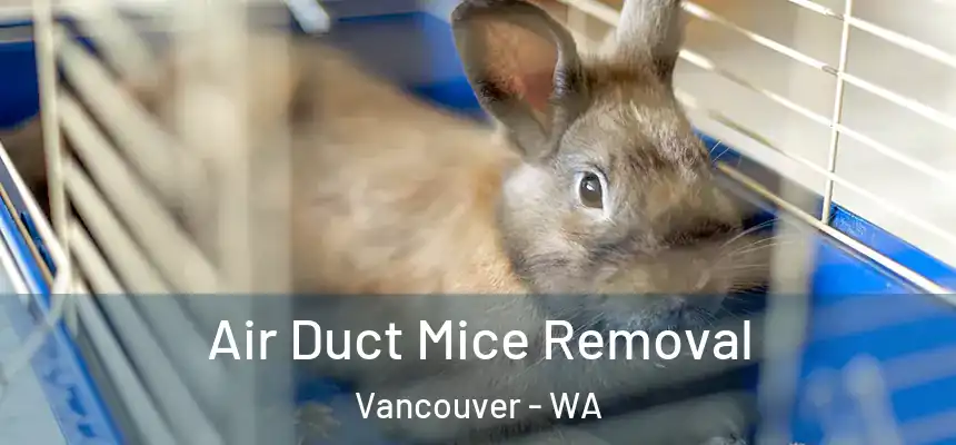  Air Duct Mice Removal Vancouver - WA