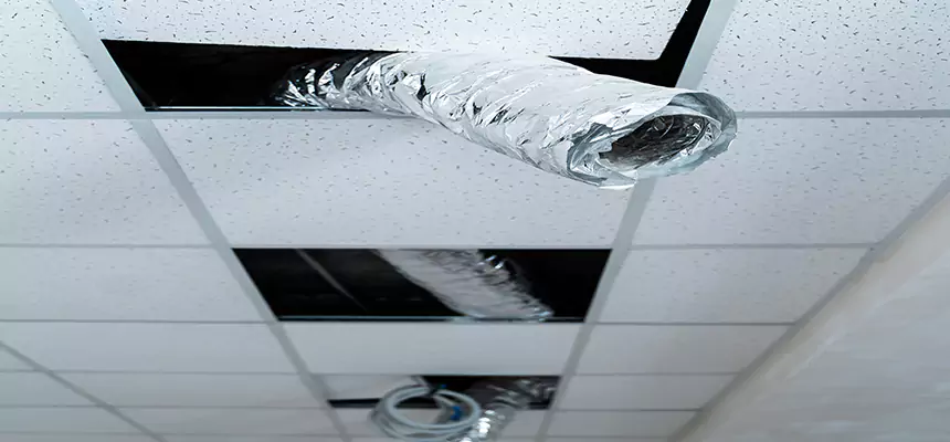 Affordable HVAC Sanitizing After Pest Removal in Vancouver