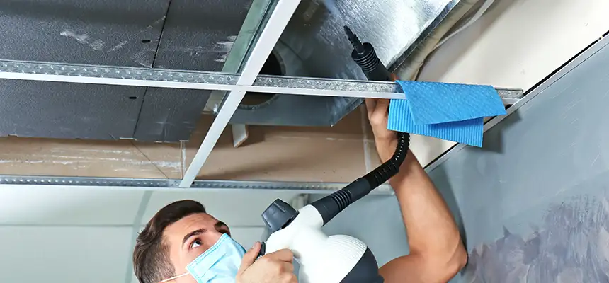 Our Air Duct Rodent Removal Services in Vancouver, WA