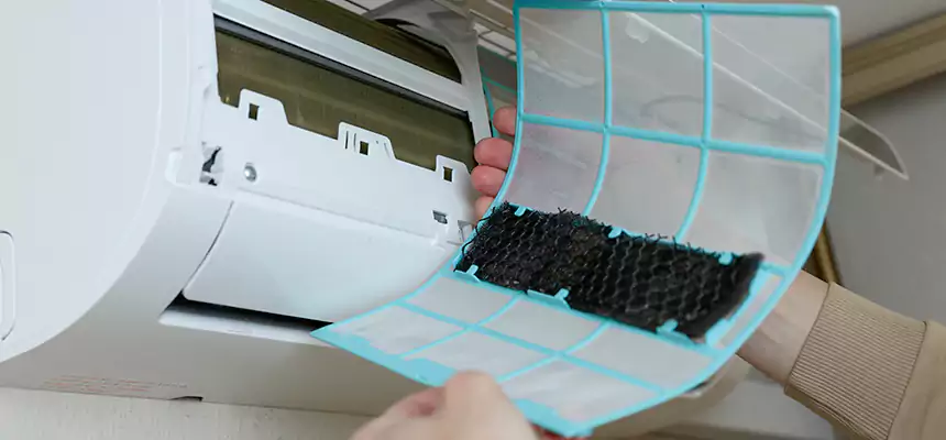 Gentle Ductwork Odor-Control Pet Dander Duct Cleaning in Vancouver, WA