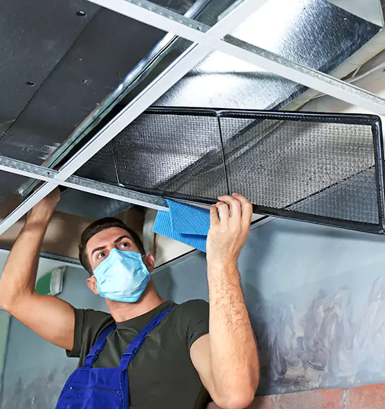 Professional Air Duct Pollen Cleaning in Vancouver, WA