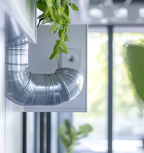 Professional Eco-Safe Dryer Vent Cleaning in Vancouver, WA