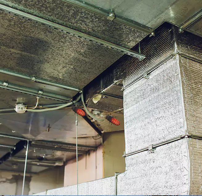 Why Homeowners & Businesses Trust Us in Vancouver, WA?