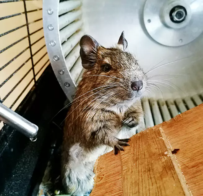 Why Homeowners & Businesses Trust Us Vancouver, WA