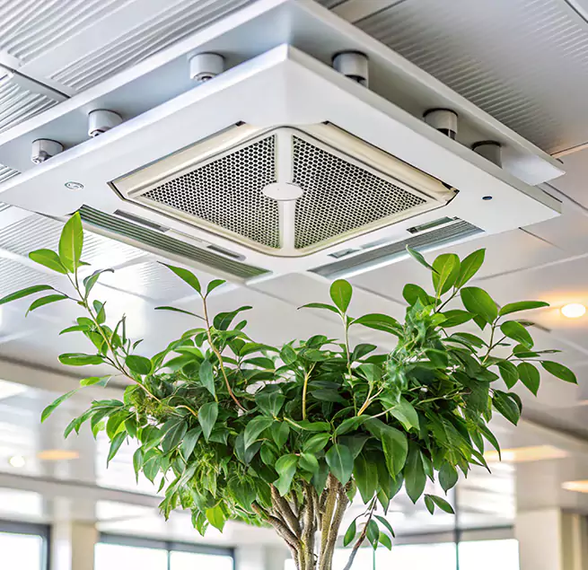 Why Homeowners & Businesses Trust Us in Vancouver, WA?