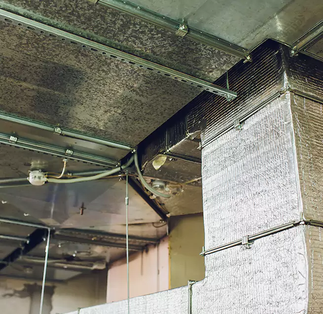 Why Homeowners & Businesses Trust Us in Vancouver, WA?